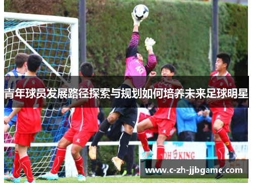 青年球员发展路径探索与规划如何培养未来足球明星
